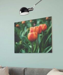fotoopcanvas