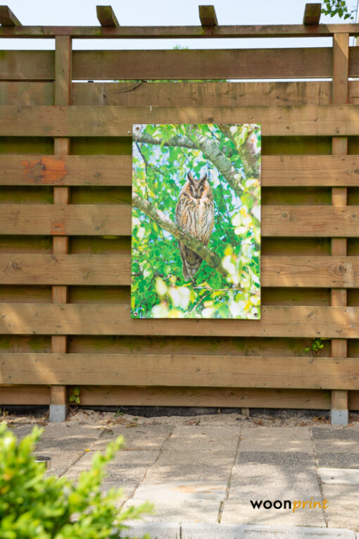 Tuinposter-Uil