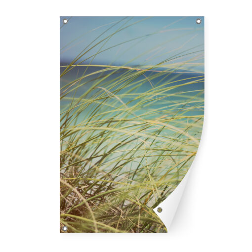 tuinposter-duingras-60x90-voor
