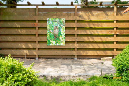 tuinposter-uil-schutting-tuin